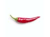 a single red chilli