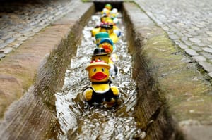 A row of colourful rubber ducks floats in a narrow sewerage channel, one after the other, as if marching in formation.